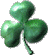 What is ShamRock?